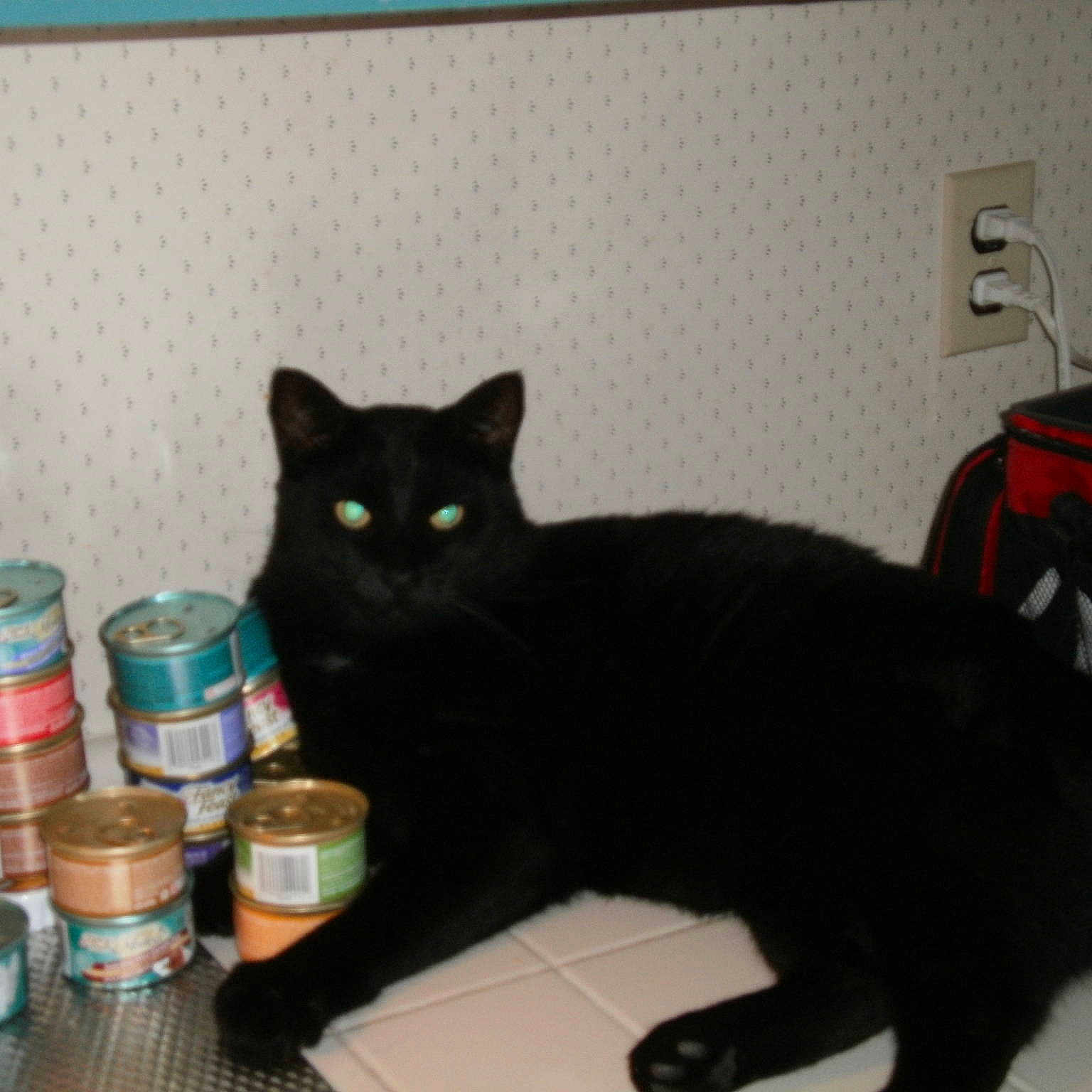 Mulligan is registered to the contest to win money with this photo: