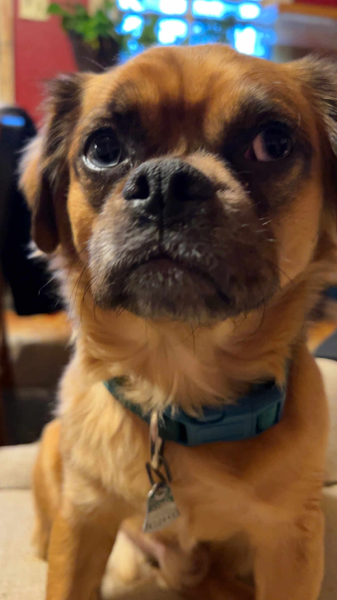 Otis