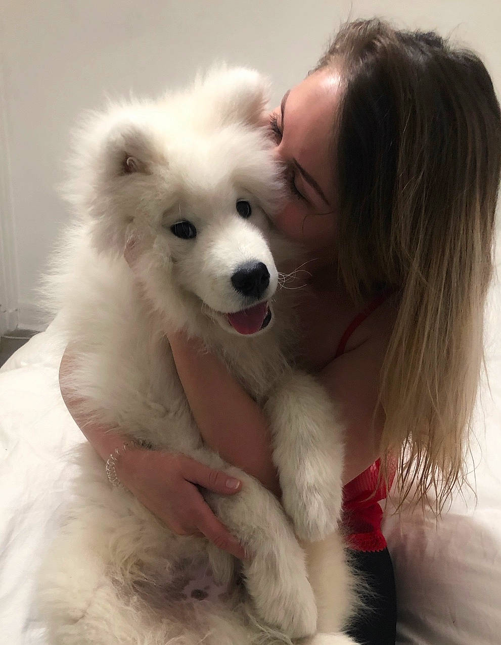 Link participe au concours pour gagner de l'argent avec cette photo : american_eskimo_dog, berger_blanc_suisse, canadian_eskimo_dog, canidae, carnivore, companion_dog, dog, dog_breed, fur, german_spitz_mittel, indian_spitz, japanese_spitz, kintamani, mammal, rare_breed_dog, samoyed, skin, spitz, vertebrate, volpino_italiano