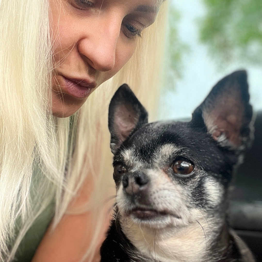Elvira a rejoint le concours — aidez-le/la à gagner de superbes lots ! woman, dog, pet, blonde_hair, red_harness, portrait, outdoor, closeup, animal, face, friendship, expression, leisure, candid, human, canine, love, nature, companion, bond