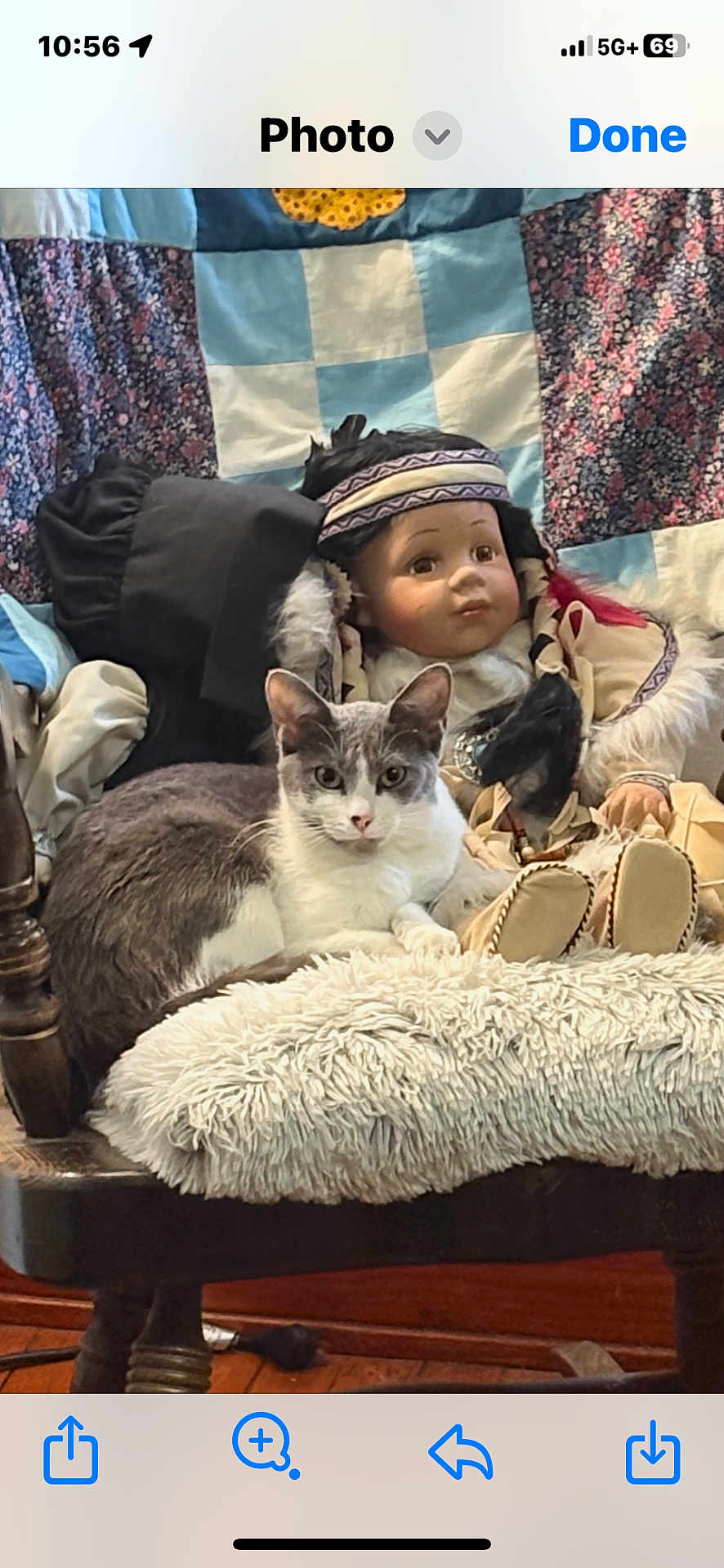 Ivy Rose joined the competition — help win amazing prizes! cat, chair, cozy, cushion, decor, doll, floor, furry, gray_cat, home_interior, indoor, patterned_fabric, pet, quilt, relaxing, seated, stuffed_doll, vintage_doll, white_cat, wooden_furniture