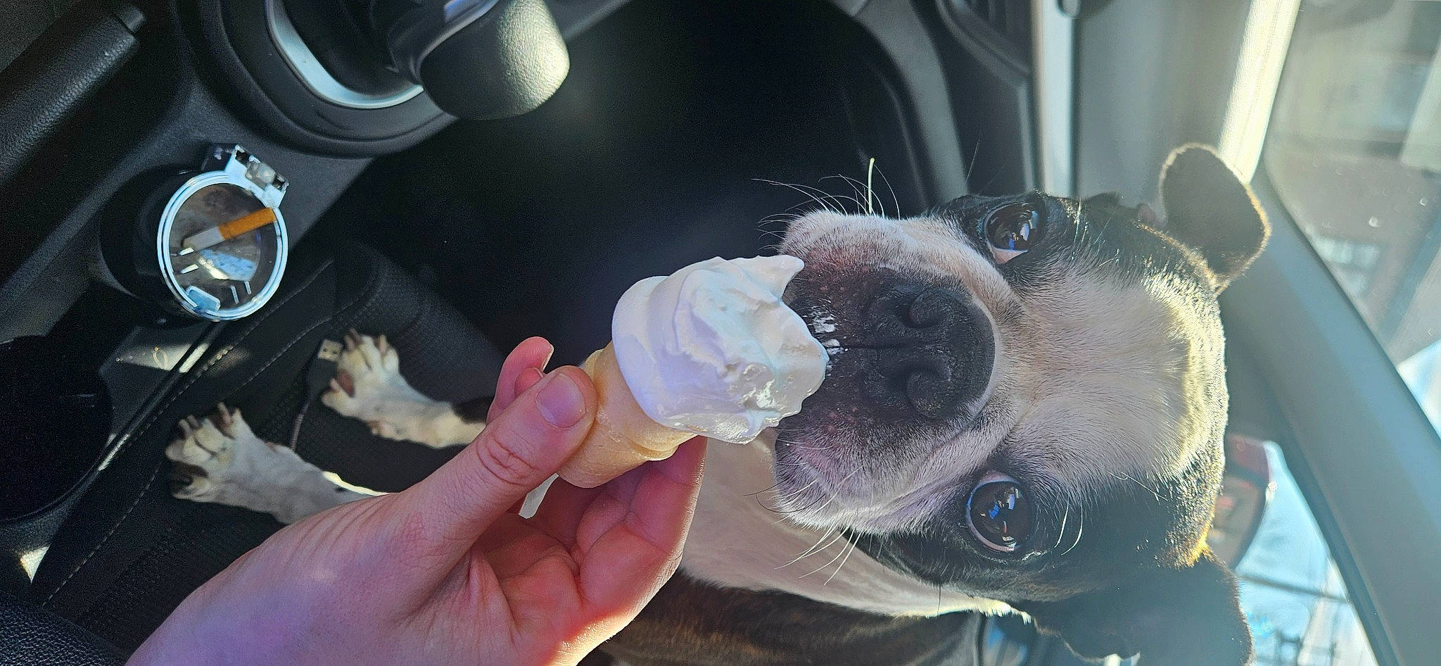 Guiness joined the competition — help win amazing prizes! auto_part, automotive_design, automotive_lighting, automotive_tire, car, car_seat, carnivore, companion_dog, dog, ear, finger, gelato, hand, ice_cream, motor_vehicle, nail, steering_wheel, thumb, vehicle_door, whiskers