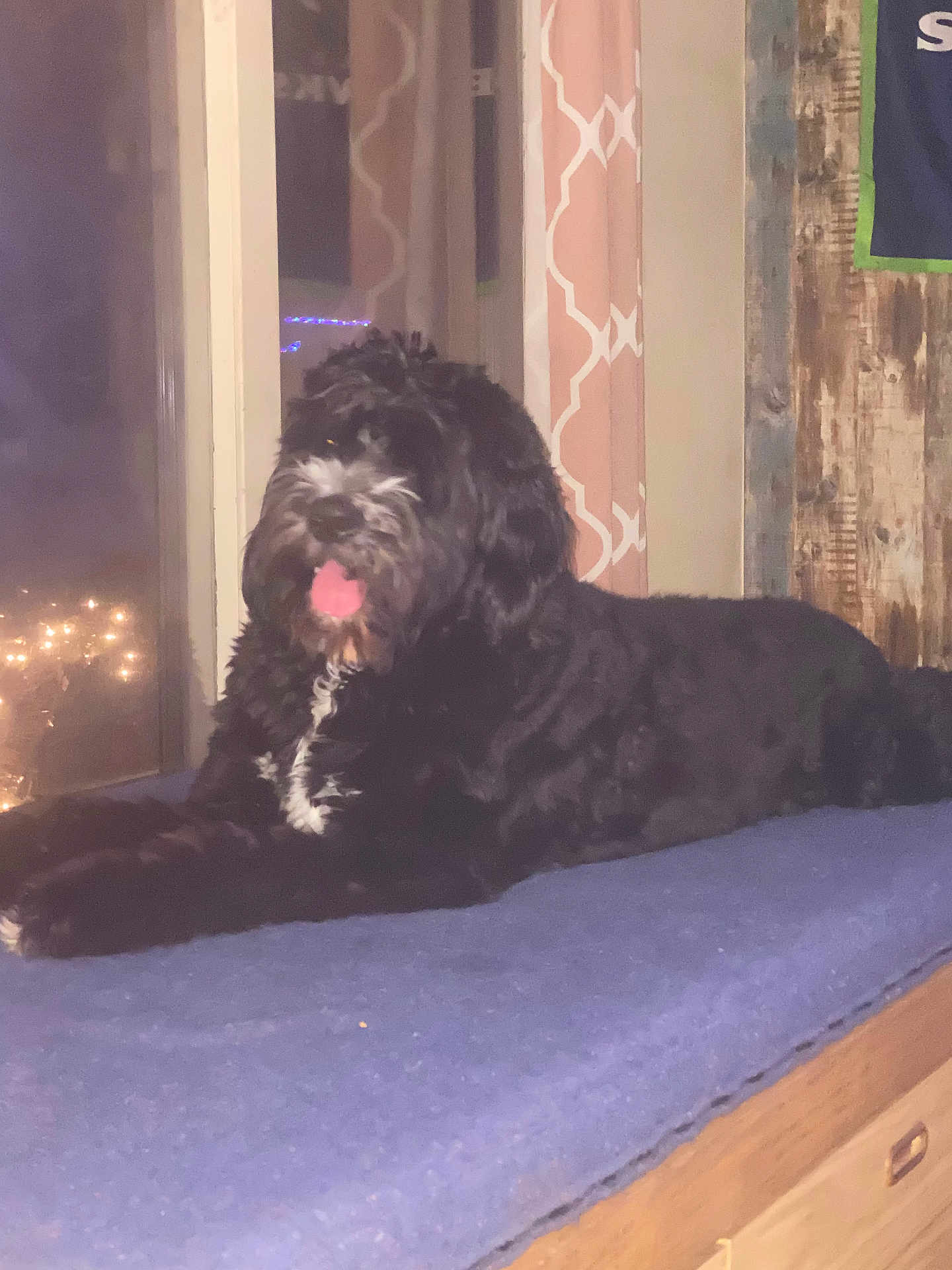 Zuzu
