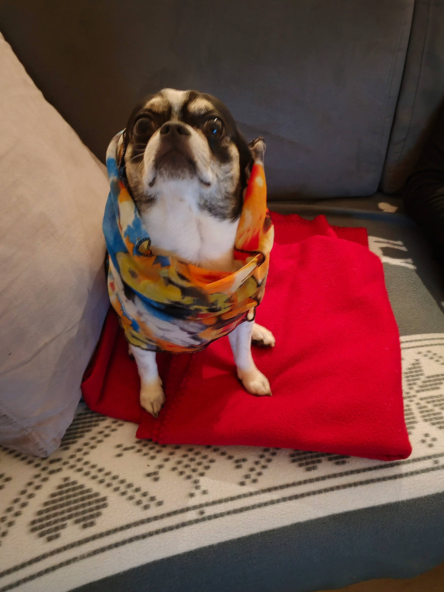 Rufus
