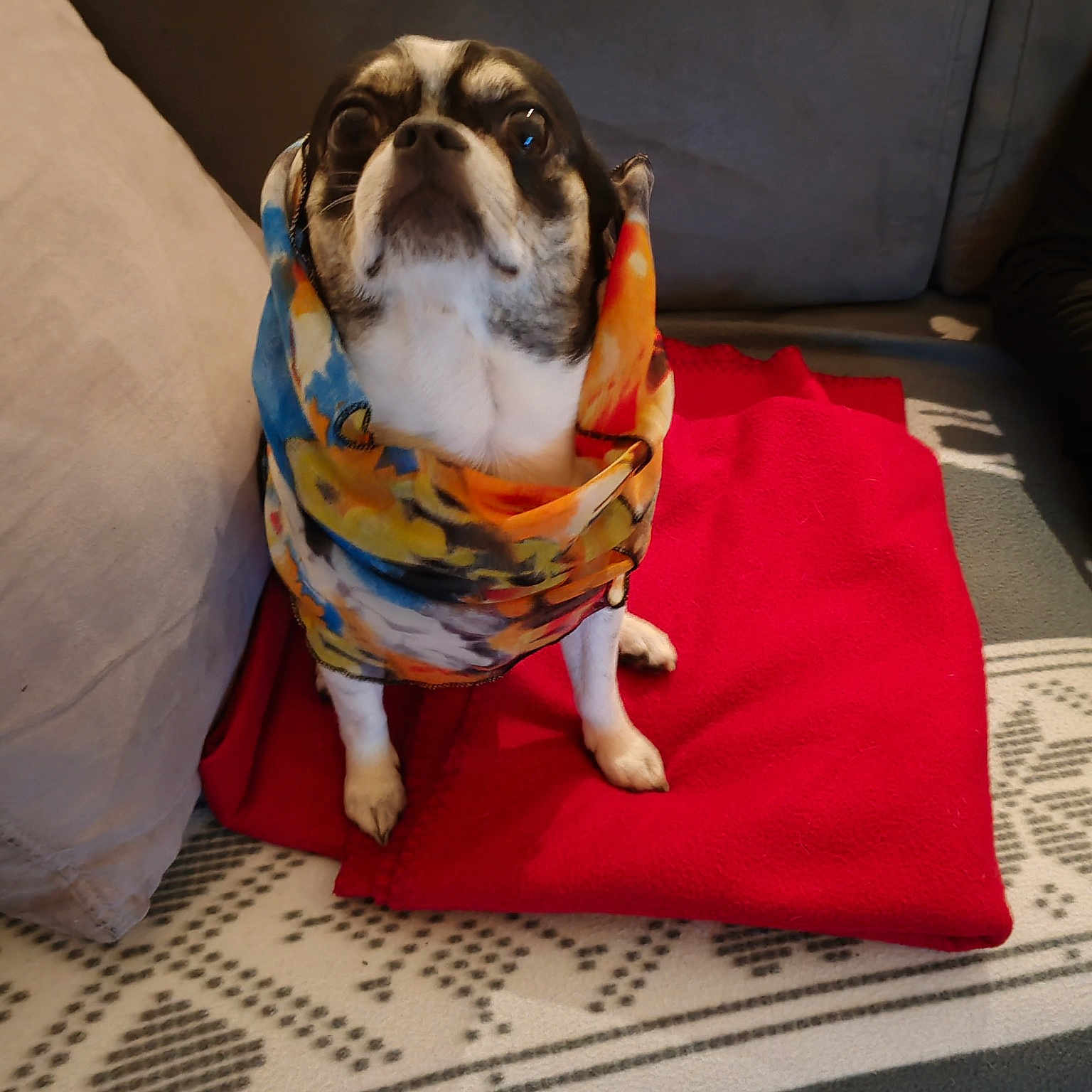 Rufus