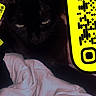 Kakaouyete participe au concours pour gagner de l'argent avec cette photo : animal, bed, black_cat, blanket, cat, closeup, cozy, cute, dark, eyes, feline, fur, indoor, mysterious, pet, qr_code, resting, sleepy, snapchat_qr_code, yellow