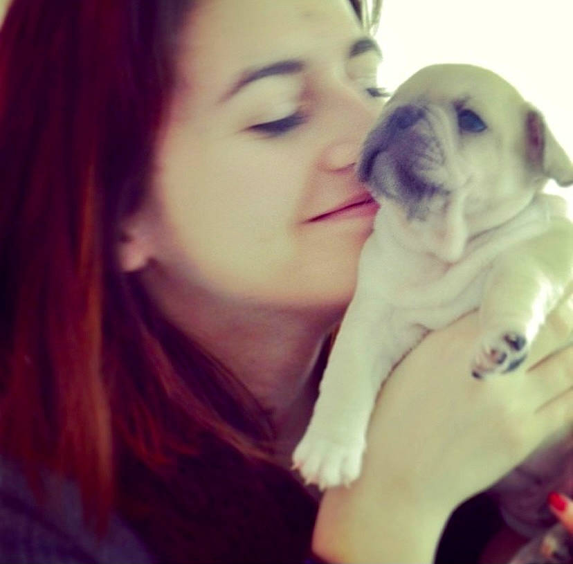 Inti Hayati a rejoint le concours — aidez-le/la à gagner de superbes lots ! beauty, carnivore, comfort, companion_dog, dog, dog_breed, dress, ear, eyelash, fawn, gesture, happy, iris, jaw, nail, nose, smile, snout, toy_dog, working_animal