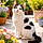 Minette