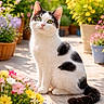 cat, black_and_white, green_eyes, flower_pots, colorful_flowers, garden, outdoor, sunlight, pet, animal, sitting, curious, nature, plants, pathway, daylight, fur, whiskers, tail, peaceful