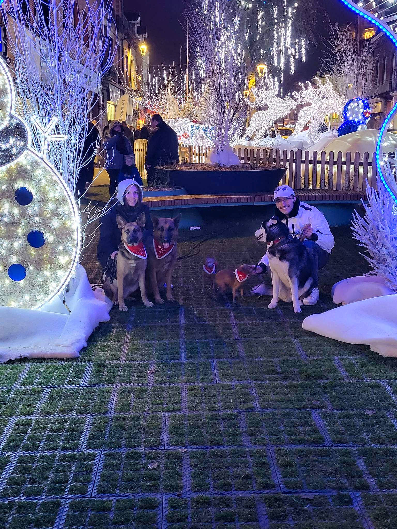 Abby Et Chipie participe au concours pour gagner de l'argent avec cette photo : blue, christmas, christmas_decoration, decoration, electric_blue, entertainment, event, fashion, flooring, fun, holiday, leisure, light, lighting, magenta, purple, tree, violet, winter, world