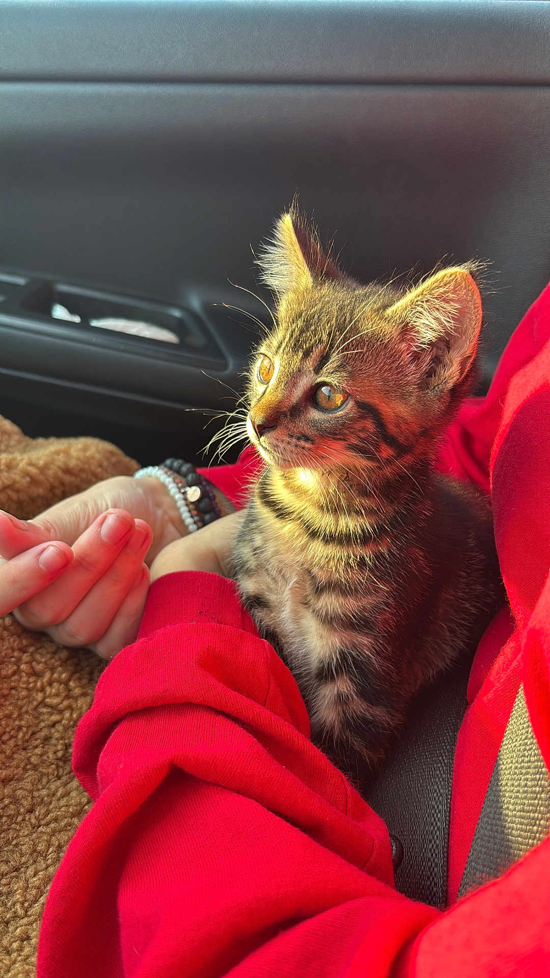 Luka