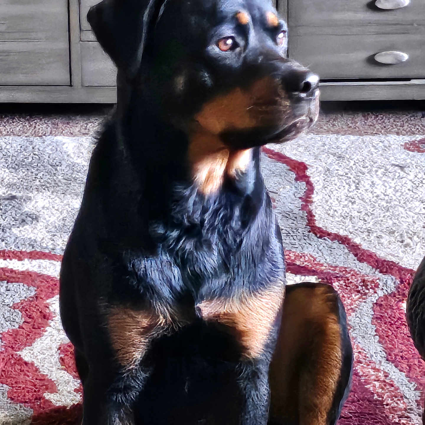 Tinka