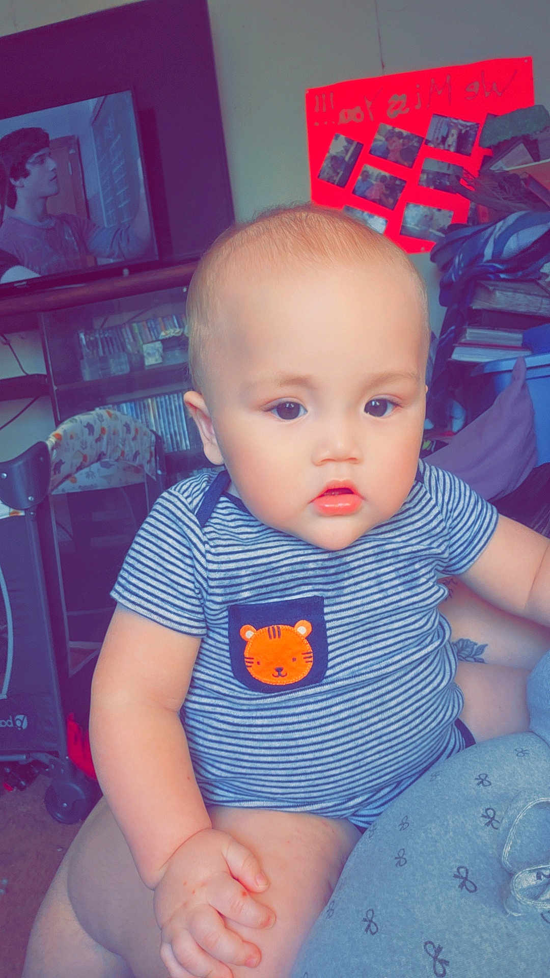 Ren is registered to the contest to win money with this photo: baby, child, striped_shirt, tiger_patch, holding, arm, indoor, television, dvd, poster, photo_collage, furniture, person, casual_clothing, cute, chubby_cheeks, home, relaxed, seated, light