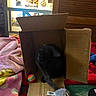 cat, cardboard_box, toy, black_cat, blanket, rainbow_ball, fuzzy_mouse_toy, indoor, painting, wall_art, wooden_furniture, colorful, cozy, pet, animal, soft_texture, relaxing, home, room, playful