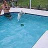 man, dog, pool, water, swimming, leaping, toy, backyard, grass, trees, screened_enclosure, summer, outdoor, recreation, pet, playing, relaxing, casual, blue, fun