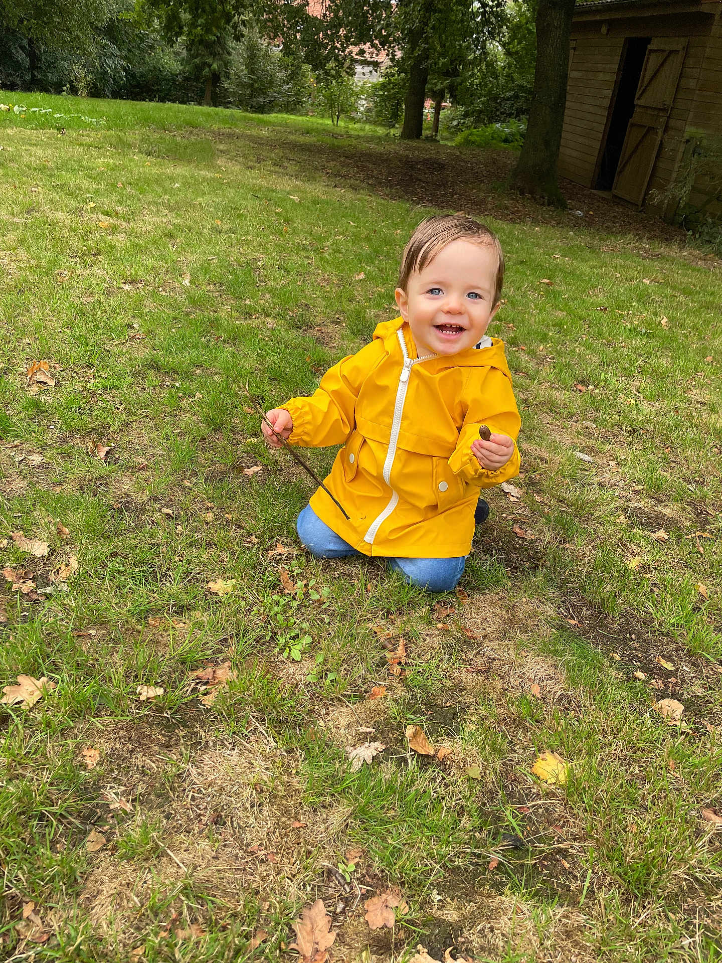 Elio
