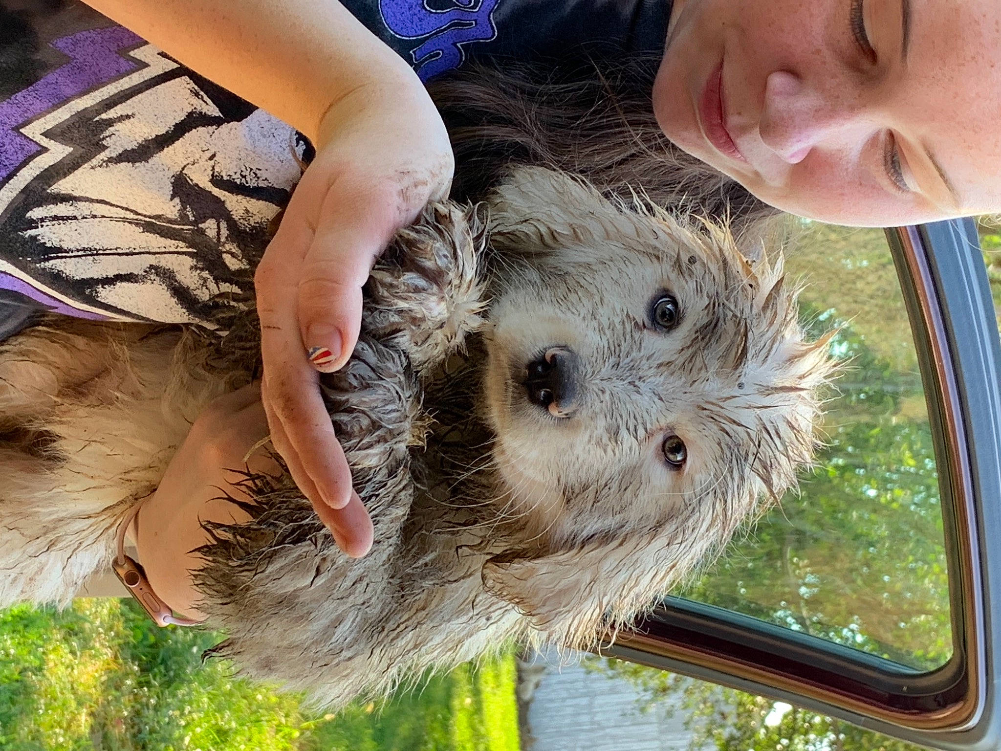 Grogu is registered to the contest to win money with this photo: blue, canidae, carnivore, child, companion_dog, dog_breed, fawn, fur, grass, plant, rodent, snout, sporting_group, tree, vehicle_door, wheel, whiskers, wildlife, window, windshield