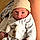Elio