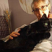 Brigitte Tresontani a rejoint le concours — aidez-le/la à gagner de superbes lots ! person, cat, black_cat, glasses, indoor, holding, pet, green_eyes, elderly, cozy, warm_lighting, furniture, decor, dried_plants, portrait, animal, companion, home, resting, closeup