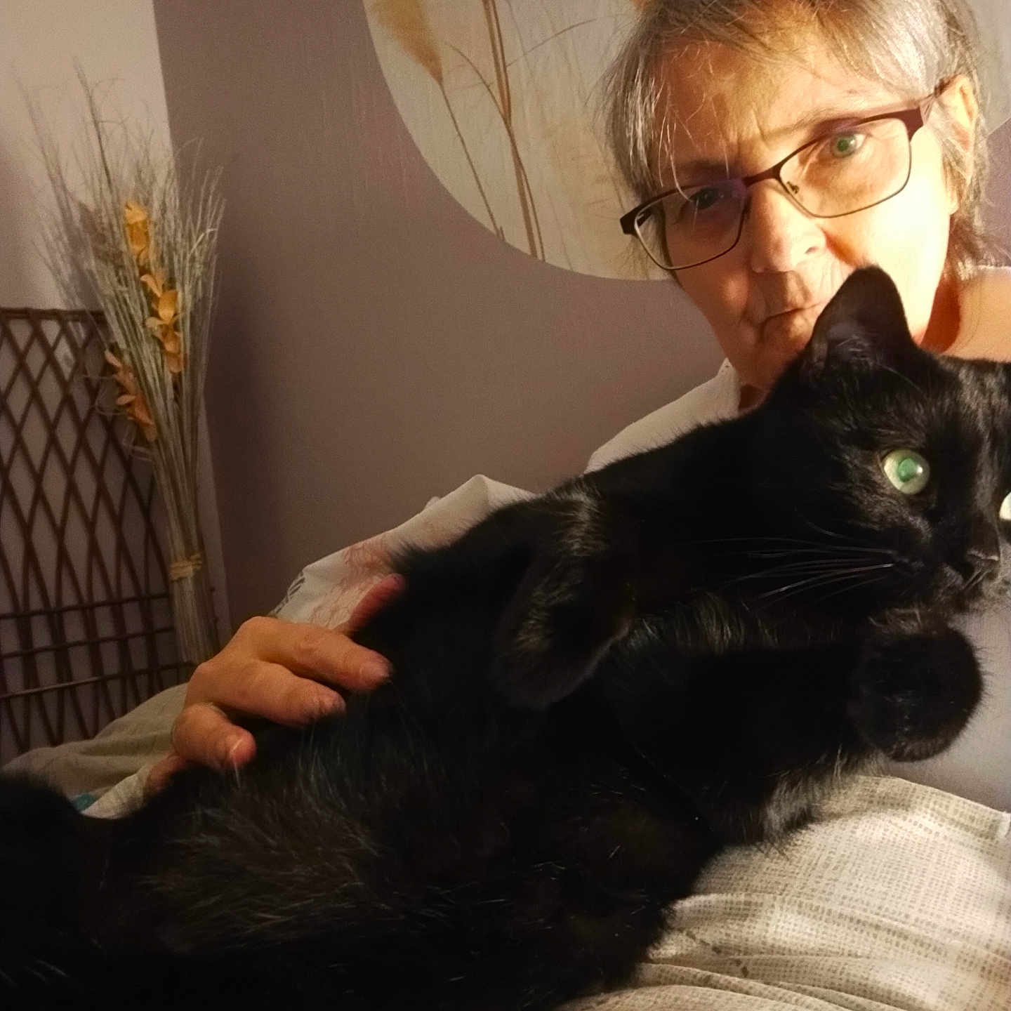 Brigitte Tresontani a rejoint le concours — aidez-le/la à gagner de superbes lots ! person, cat, black_cat, glasses, indoor, holding, pet, green_eyes, elderly, cozy, warm_lighting, furniture, decor, dried_plants, portrait, animal, companion, home, resting, closeup