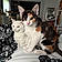 Simon And Shoko