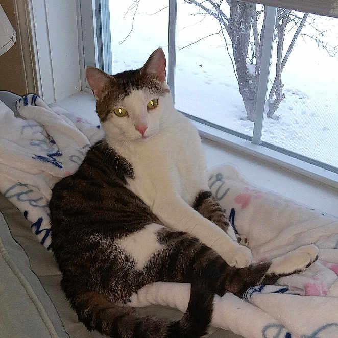 Leonardo