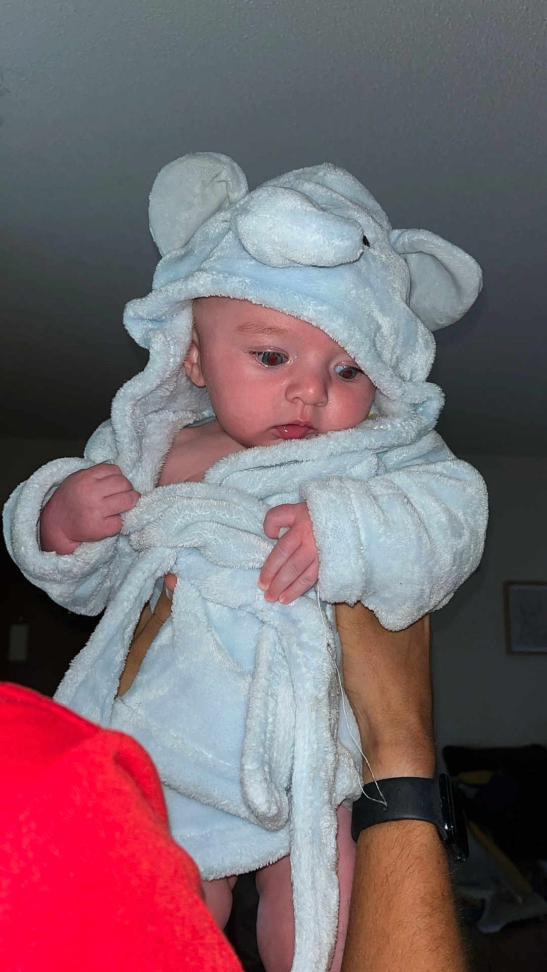 Hudson is registered to the contest to win money with this photo: baby, child, person, fluffy_clothing, bathrobe, elephant_ears, hand, arm, watch, red_shirt, indoor, curious, skin, face, wide_eyes, soft_texture, cute, portrait, infant, holding