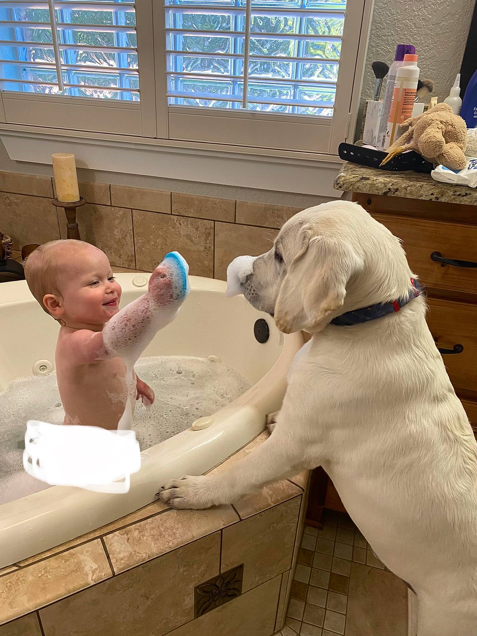 Bulleit is registered to the contest to win money with this photo: baby, bathing, cabinetry, carnivore, collar, companion_dog, dog, dog_breed, dog_collar, dog_supply, drawer, flooring, leisure, pet_supply, room, smile, swimming_pool, toddler, window, working_animal