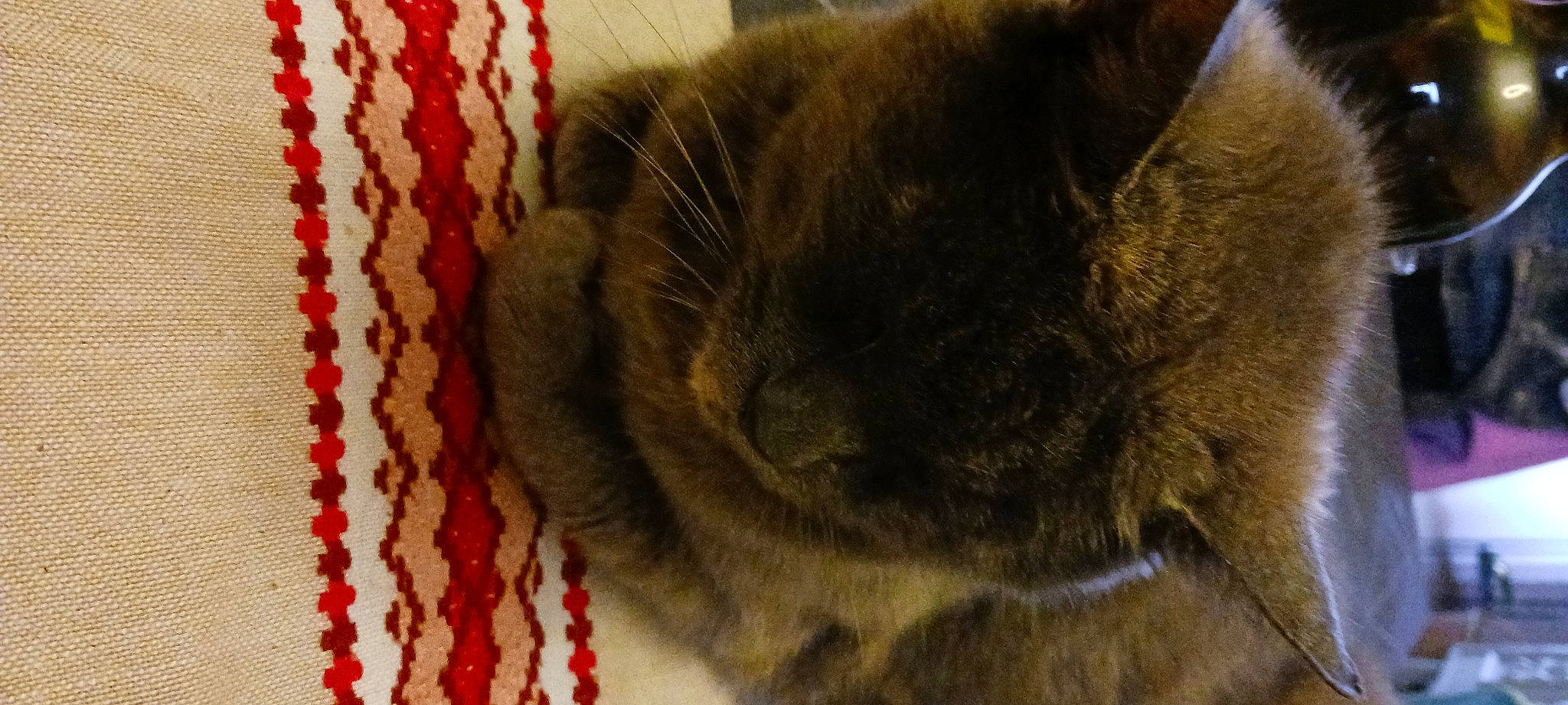 Mozard participe au concours pour gagner de l'argent avec cette photo : black_cat, carnivore, cat, chartreux, claw, comfort, domestic_short_haired_cat, felidae, fur, pattern, small_to_medium_sized_cats, tail, terrestrial_animal, thread, weaving, whiskers, wood, wool, woolen, woven_fabric