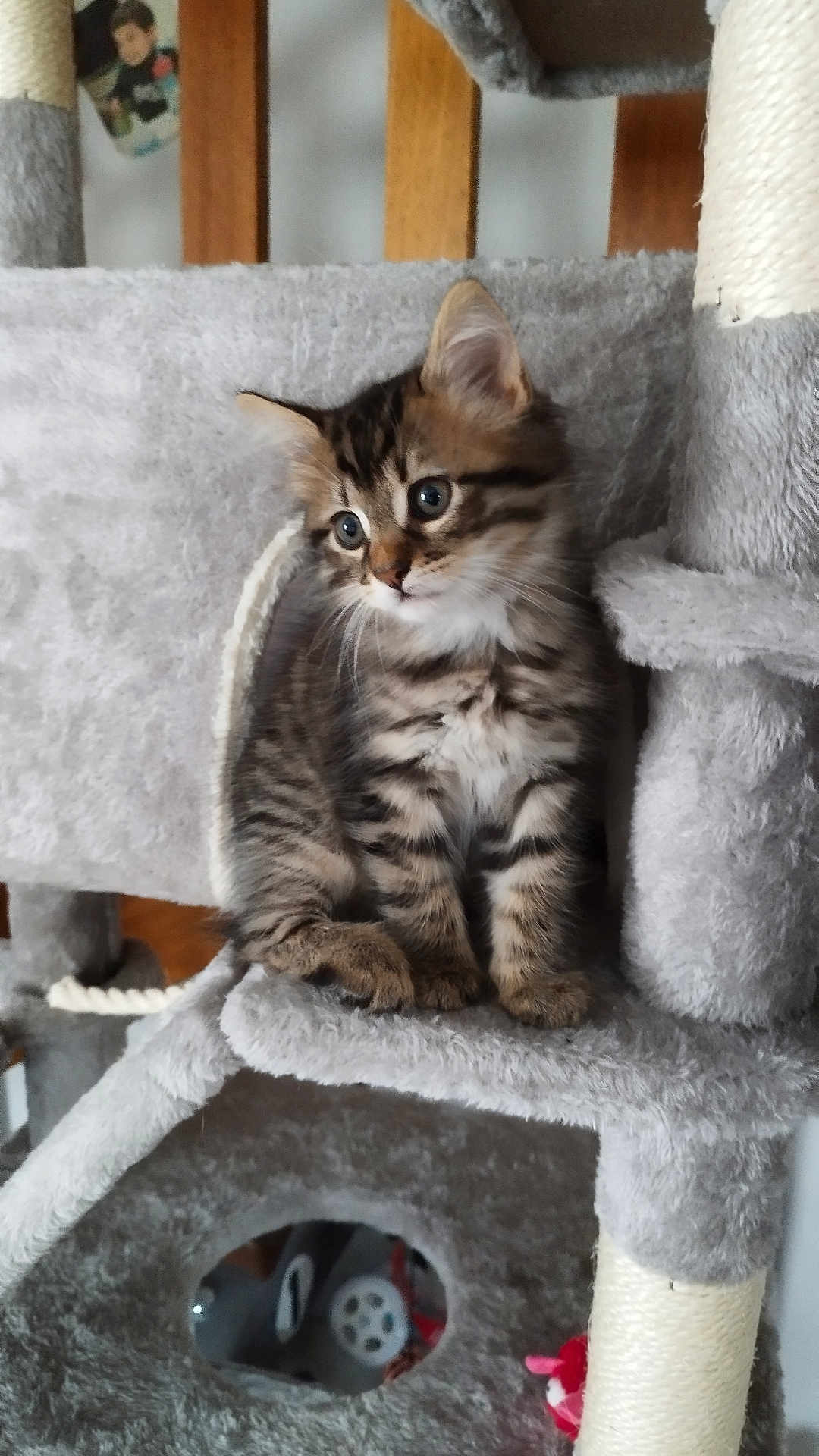 Loki