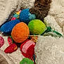 Loki a rejoint le concours — aidez-le/la à gagner de superbes lots ! kitten, tabby, cat, toy, colorful, fuzzy, blanket, soft, cute, pet, small, paw, fur, indoor, cozy, playful, animal, young, curious, resting