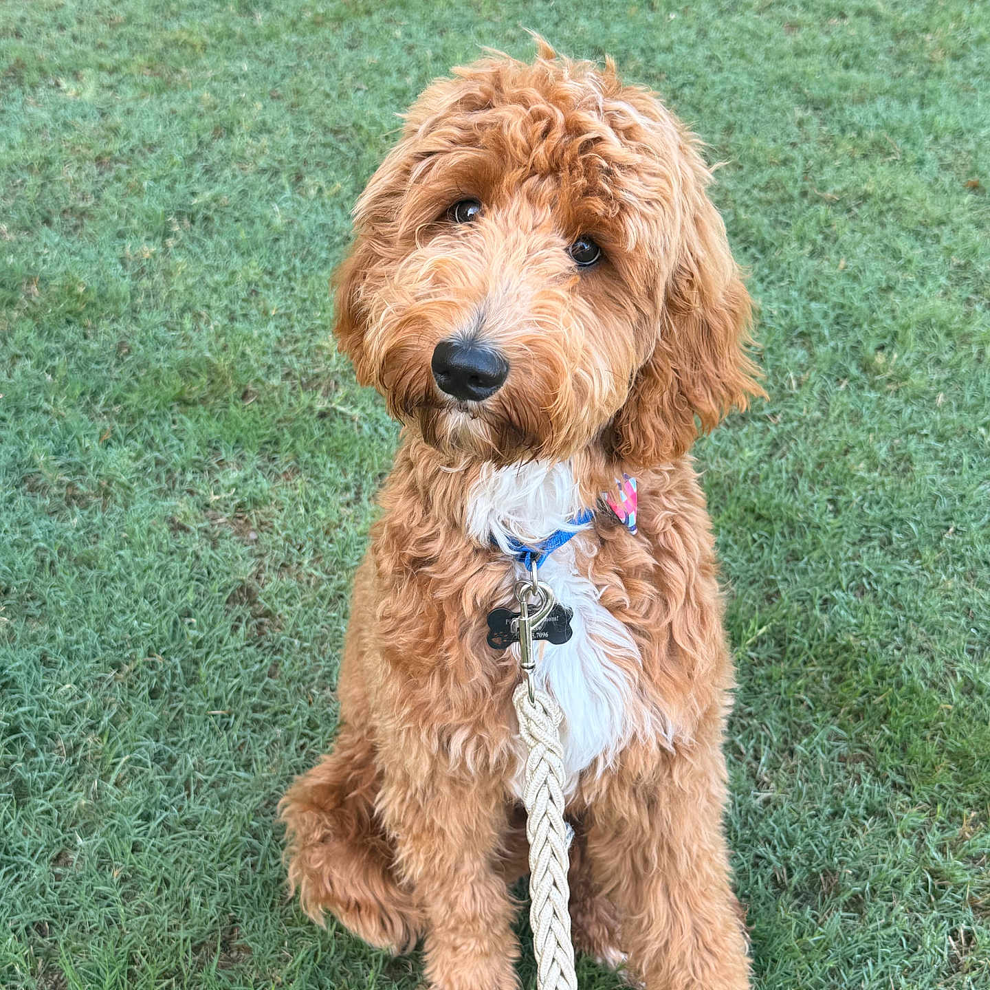 Oakley