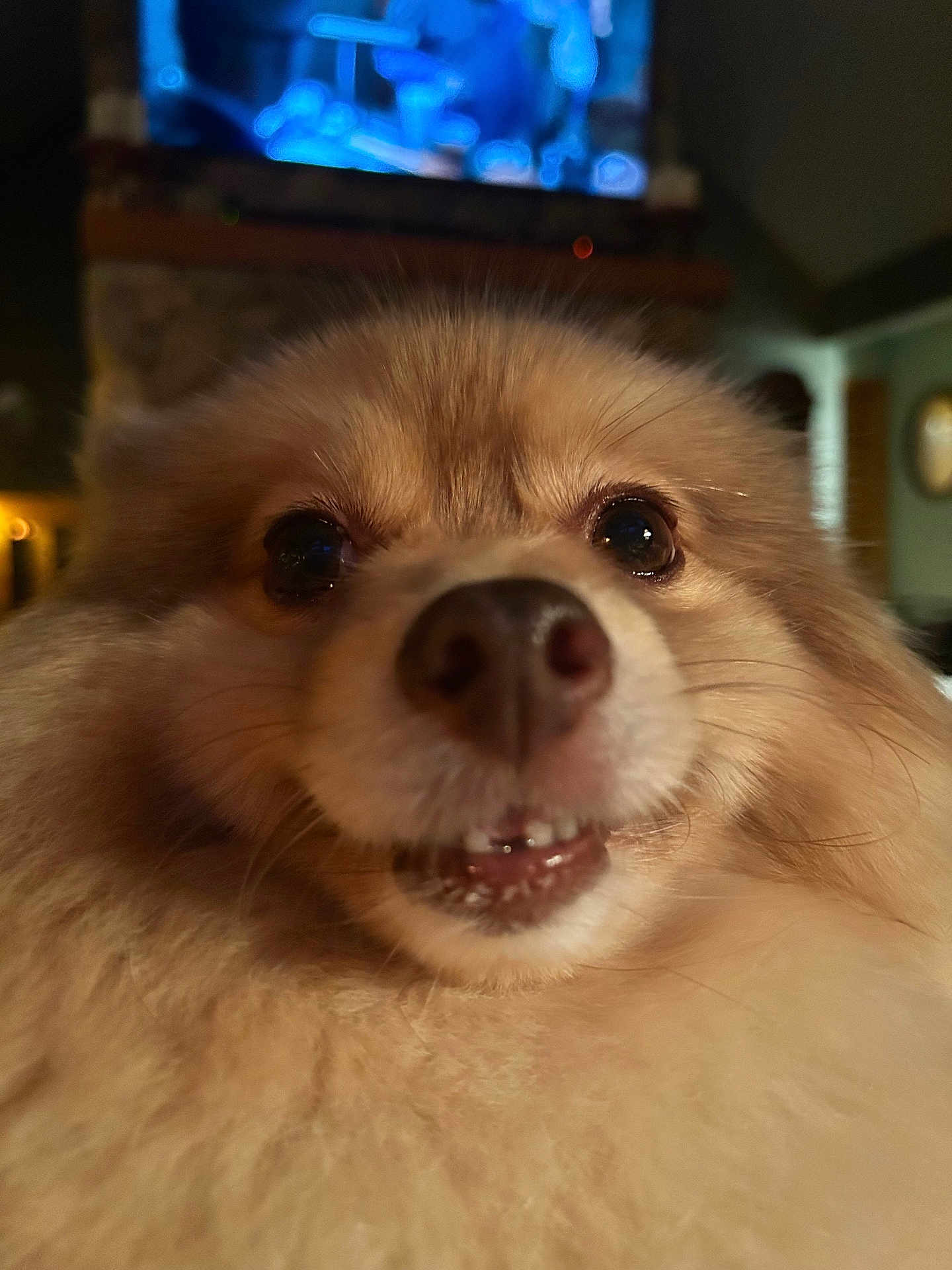 Georgie