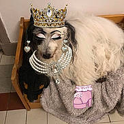 Chimene participe au concours pour gagner de l'argent avec cette photo : art, costume, costume_hat, crown, event, eyelash, eyewear, fashion_accessory, fashion_design, feather, font, fur, hair_accessory, headgear, headpiece, jewellery, mask, metal, necklace, personal_protective_equipment