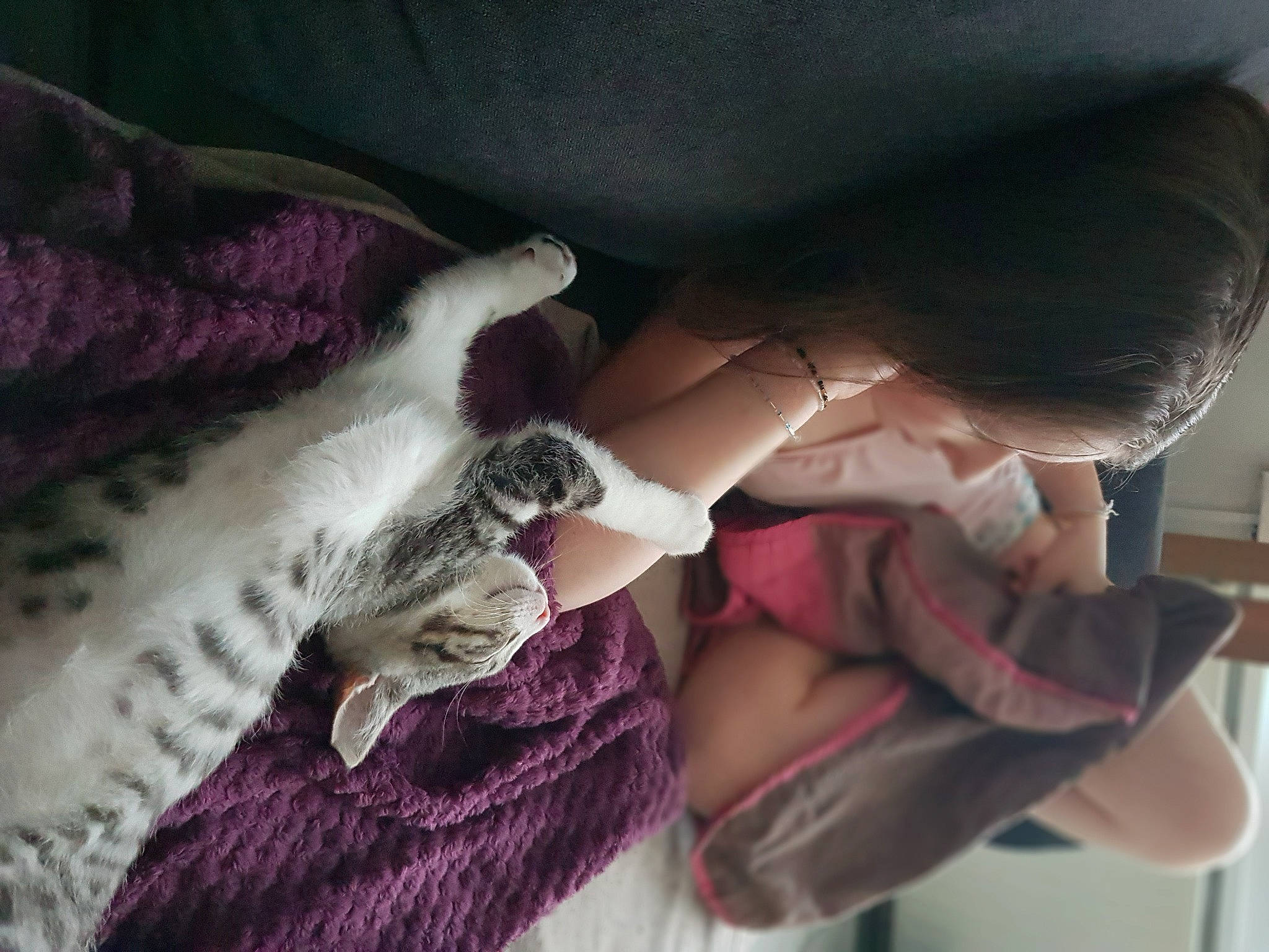 Tao participe au concours pour gagner de l'argent avec cette photo : carnivore, comfort, dress, elbow, fashion_accessory, felidae, fur, gesture, jewellery, linens, magenta, nail, pattern, pink, purple, sleeve, small_to_medium_sized_cats, whiskers, wool, woolen
