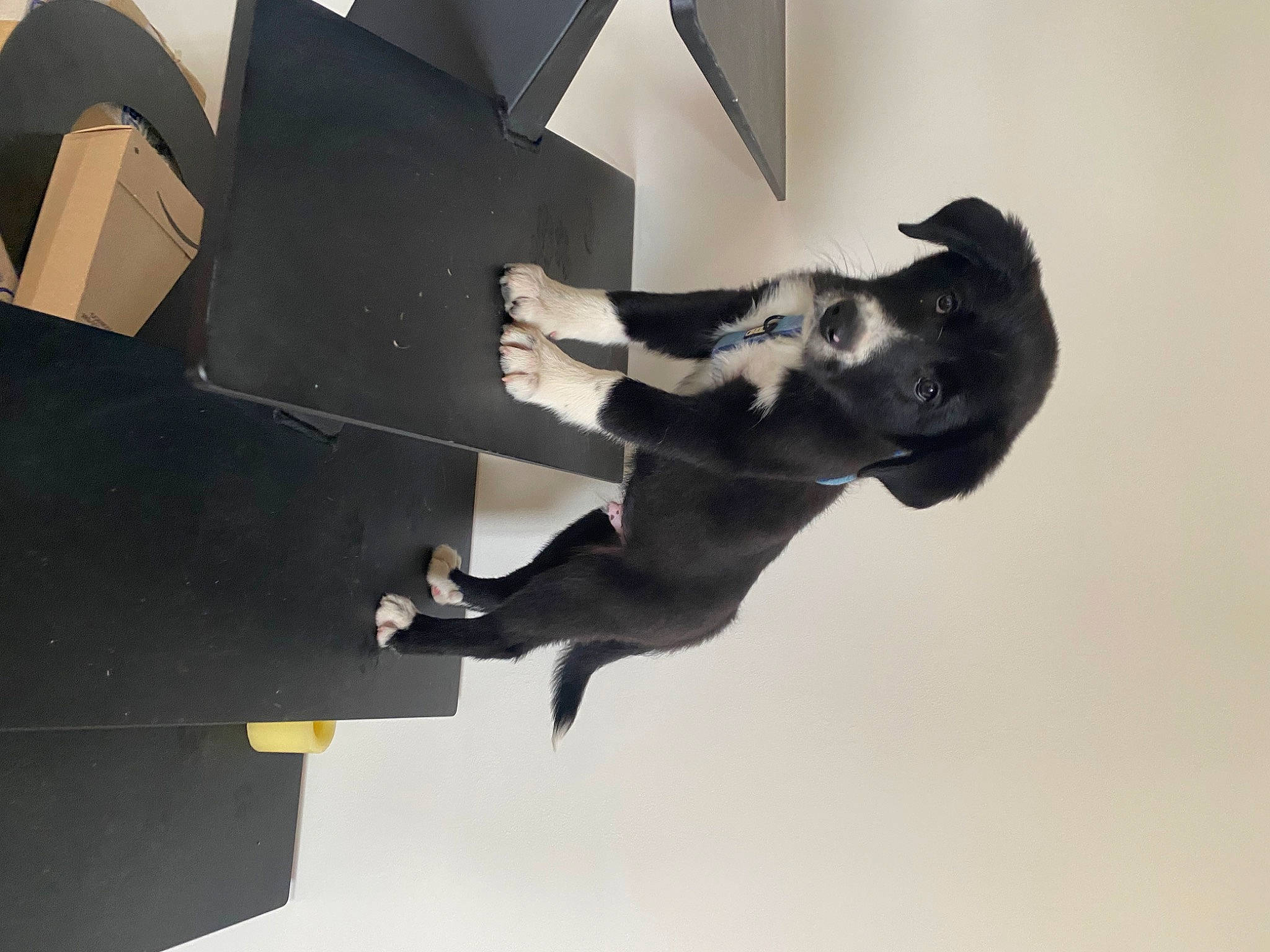 Taho participe au concours pour gagner de l'argent avec cette photo : art, dress, elbow, gesture, metal, paper, paper_product, plant, room, sculpture, shadow, sky, stairs, statue, tail, tree, visual_arts, water