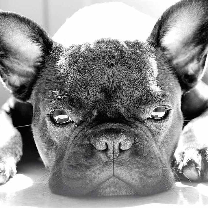 Paco