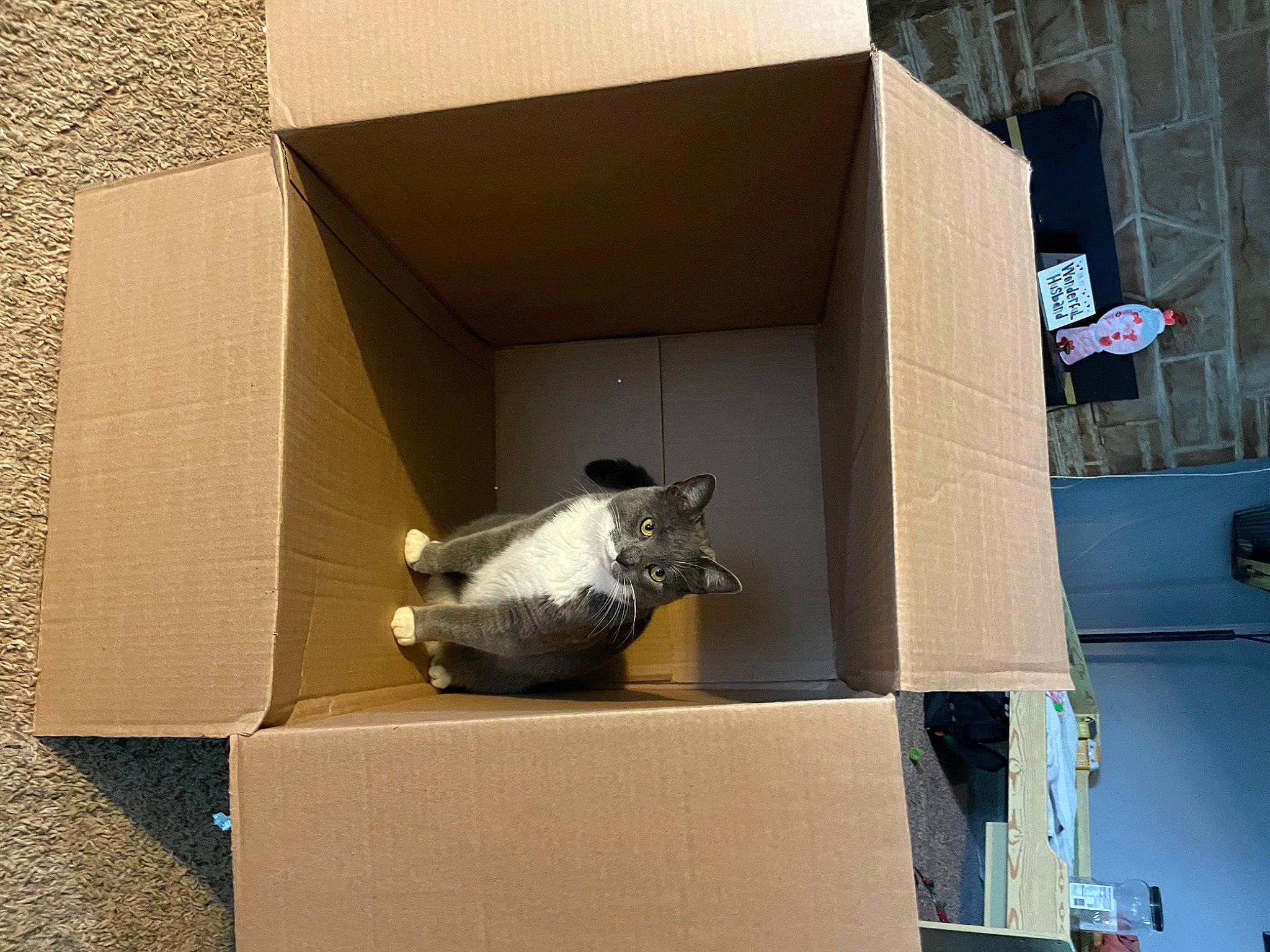 Greysin joined the competition — help win amazing prizes! art, box, building, cardboard, carton, concrete, facade, font, metal, packaging_and_labeling, paper_product, rectangle, rock, sculpture, snout, space, statue, visual_arts, waste_container, wood