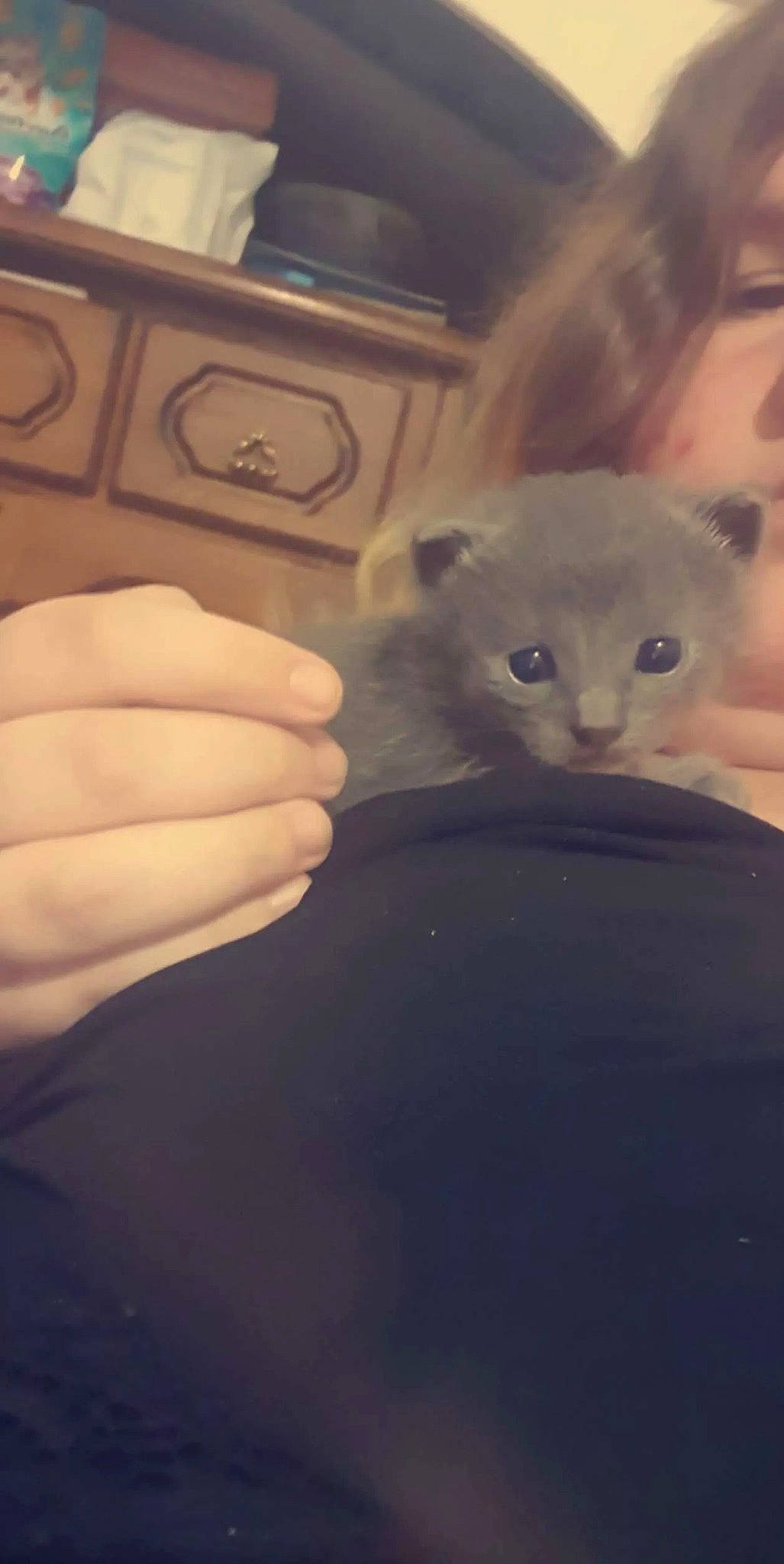 Rk-bro participe au concours pour gagner de l'argent avec cette photo : carnivore, cat, claw, comfort, domestic_short_haired_cat, ear, electric_blue, fashion_accessory, felidae, fur, gesture, hand, nail, paw, personal_protective_equipment, small_to_medium_sized_cats, tail, thumb, whiskers, wrist