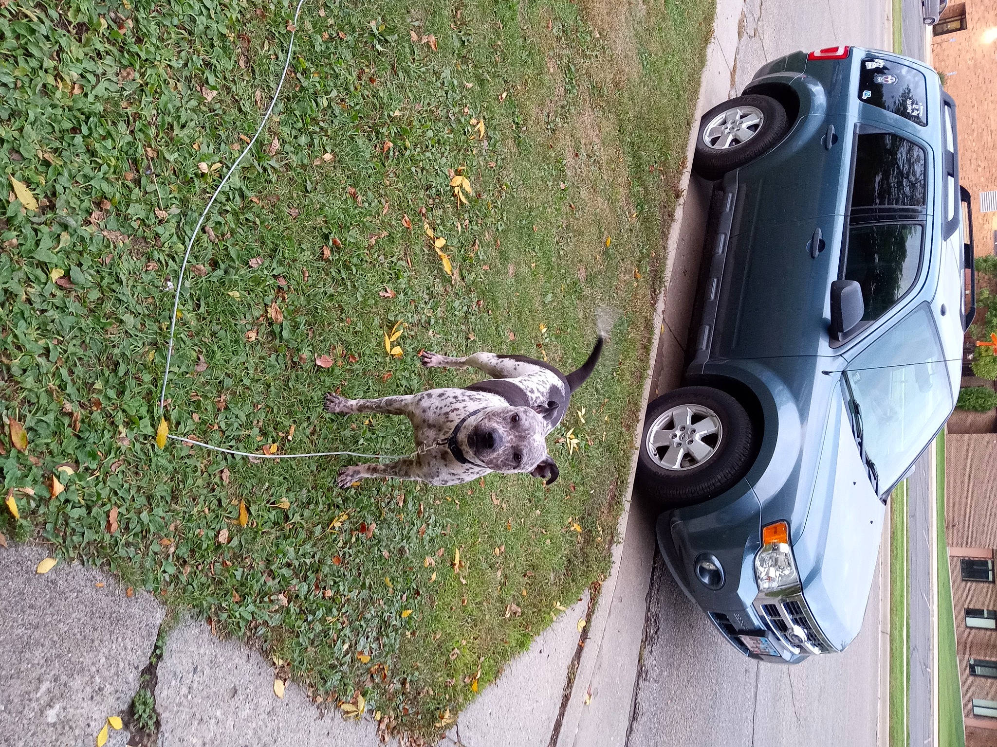 Chaos joined the competition — help win amazing prizes! alloy_wheel, asphalt, automotive_design, automotive_exterior, automotive_lighting, automotive_tire, bumper, car, fender, grass, hood, motor_vehicle, plant, rim, road_surface, rolling, tire, vehicle, vehicle_door, wheel