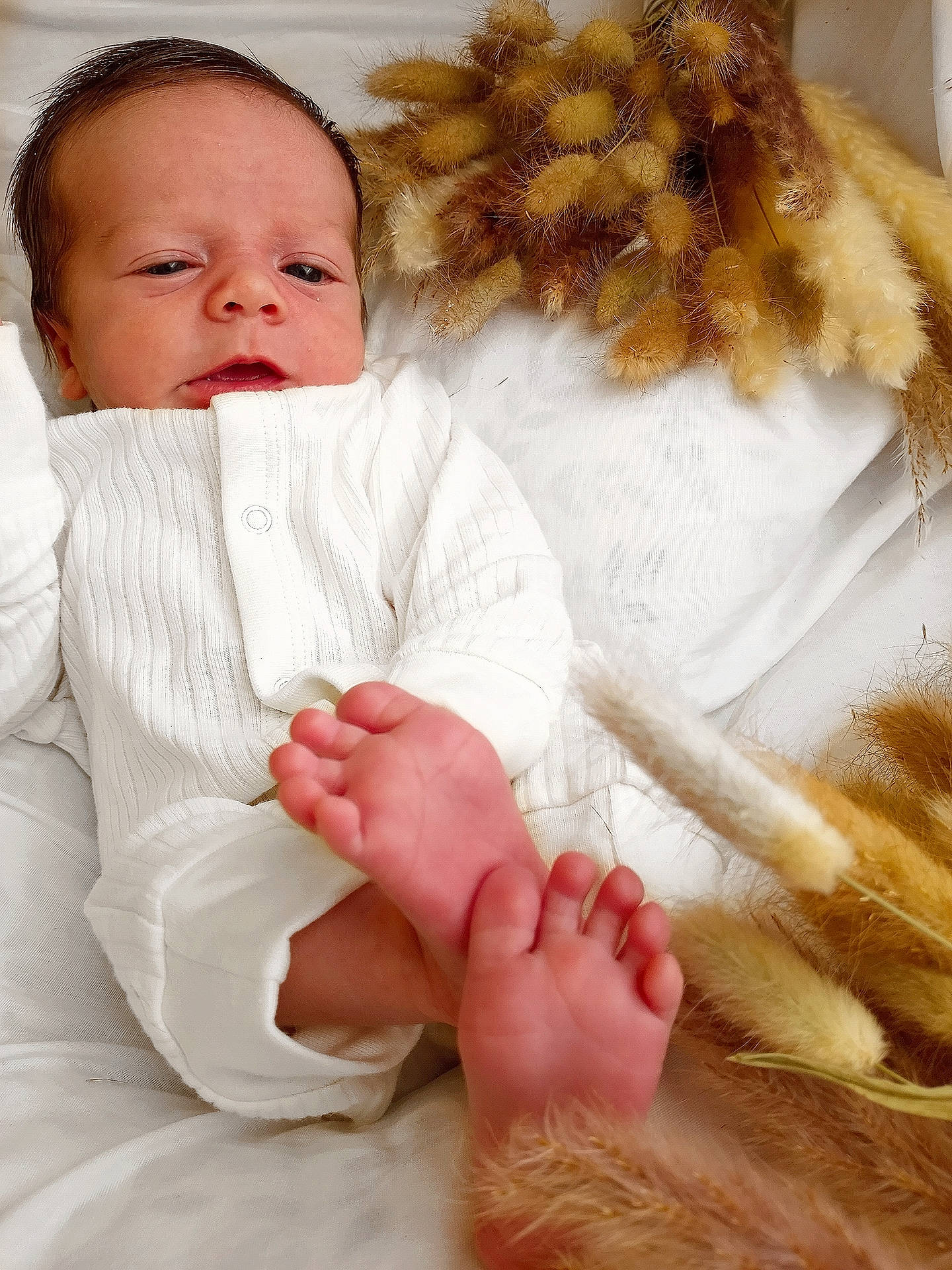 Halo is registered to the contest to win money with this photo: arm, baby, baby_sleeping, baby_toddler_clothing, clothing, comfort, finger, gesture, hand, human, human_body, linens, nose, outerwear, person, skin, sleeve, textile, thumb, toddler