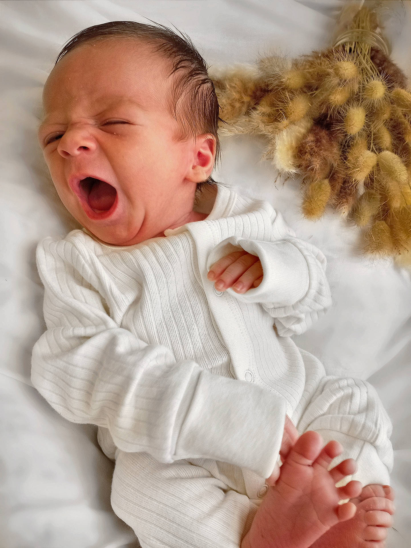 Halo is registered to the contest to win money with this photo: baby, baby_sleeping, baby_toddler_clothing, cheek, child, comfort, eye, face, finger, gesture, happy, linens, nose, outerwear, person, product, skin, sleeve, textile, toddler