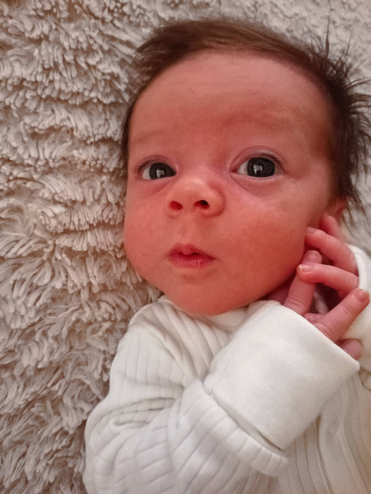 Halo joined the competition — help win amazing prizes! baby, baby_toddler_clothing, cheek, child, chin, close_up, comfort, eye, eyebrow, eyelash, facial_expression, happy, iris, lip, nose, person, skin, sleeve, smile, textile