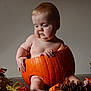 autumn, baby, child, curious, cute, decor, fall_leaves, festive, harvest, holiday, indoor, natural_light, orange, pinecones, plump, portrait, pumpkin, seasonal, sitting, skin