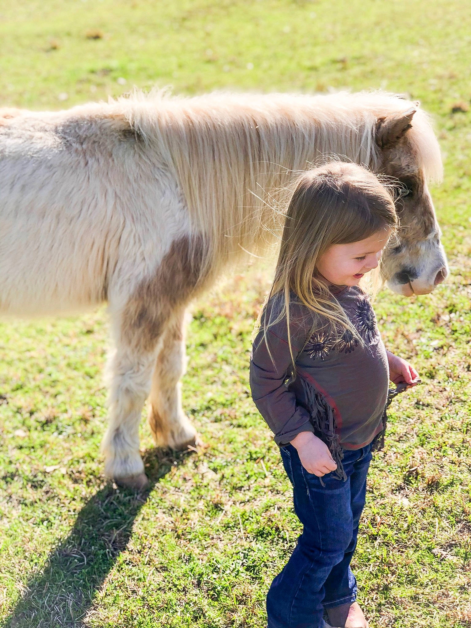 Emma Grace joined the competition — help win amazing prizes! farm, foal, grass, grassland, grazing, hair, horse, landscape, livestock, mammal, mane, mare, meadow, pasture, person, plant, pony, ranch, shetland_pony, vertebrate