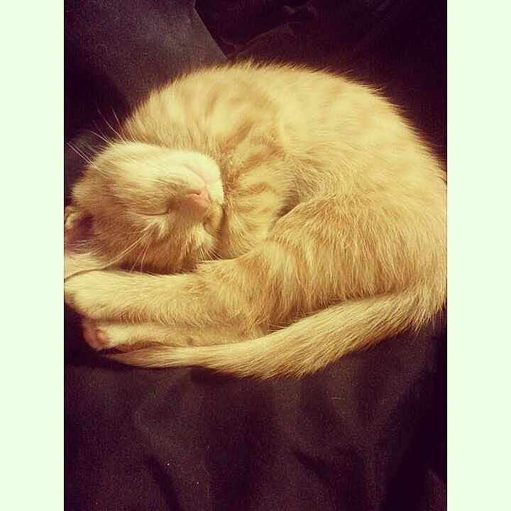 Benji is registered to the contest to win money with this photo: