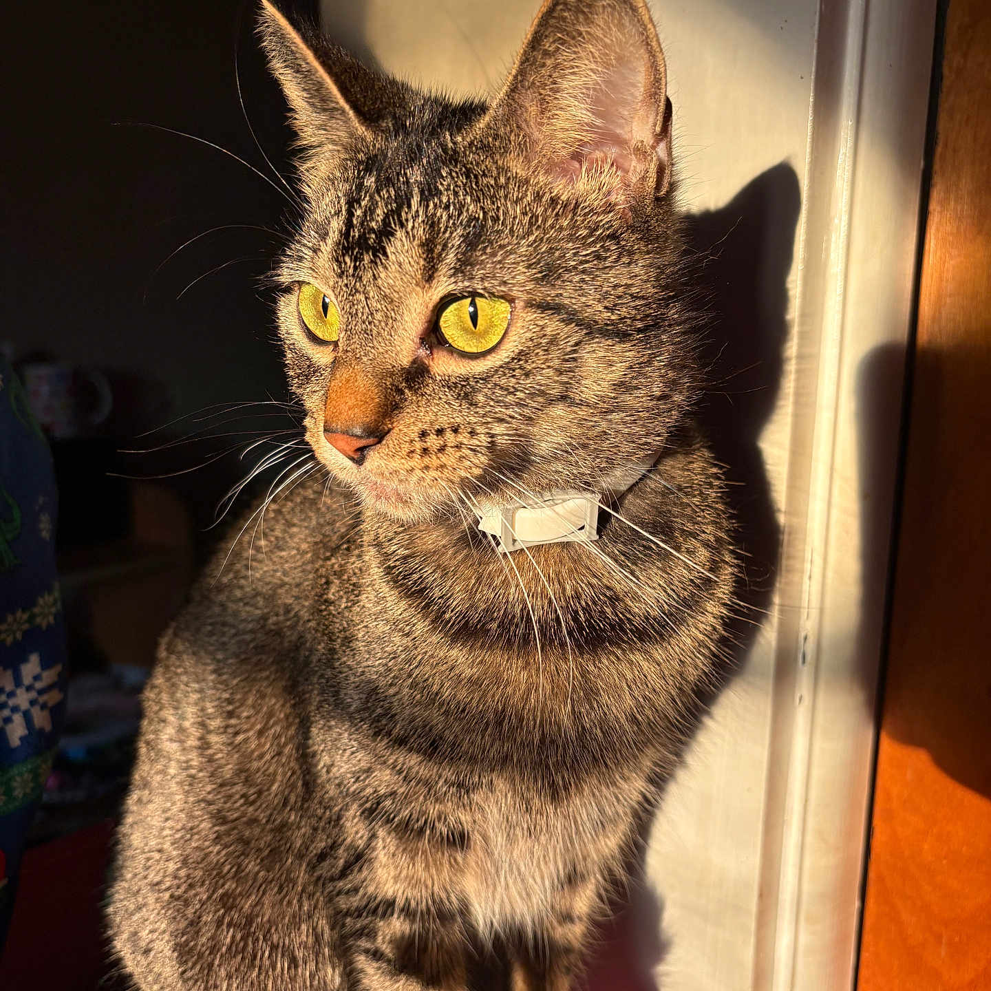 Pepper