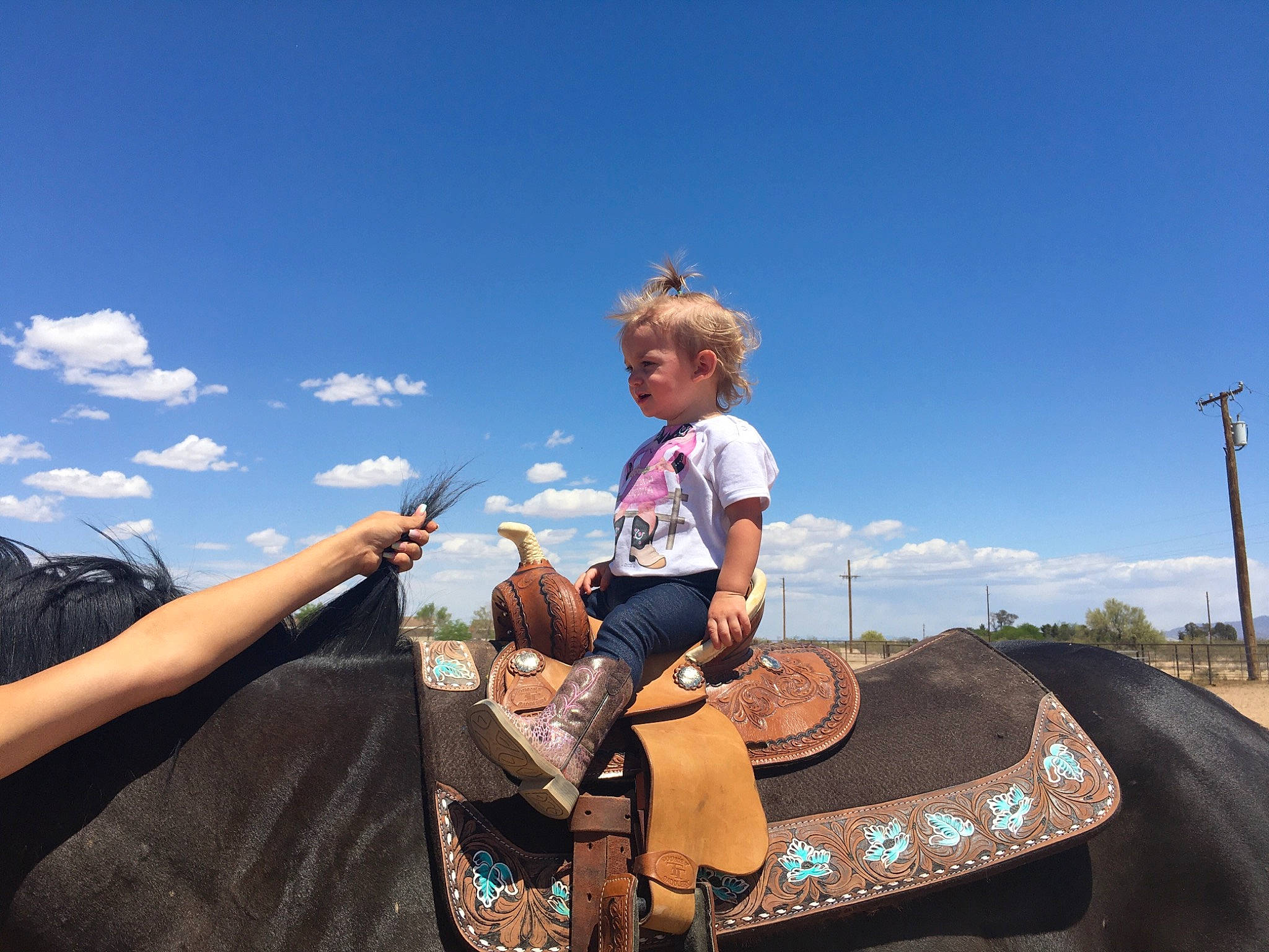 Jacklyn is registered to the contest to win money with this photo: bag, cloud, event, eyewear, fun, happy, horizon, landscape, leisure, luggage_and_bags, natural_environment, pack_animal, people_in_nature, person, recreation, sitting, sky, street_light, toddler, travel