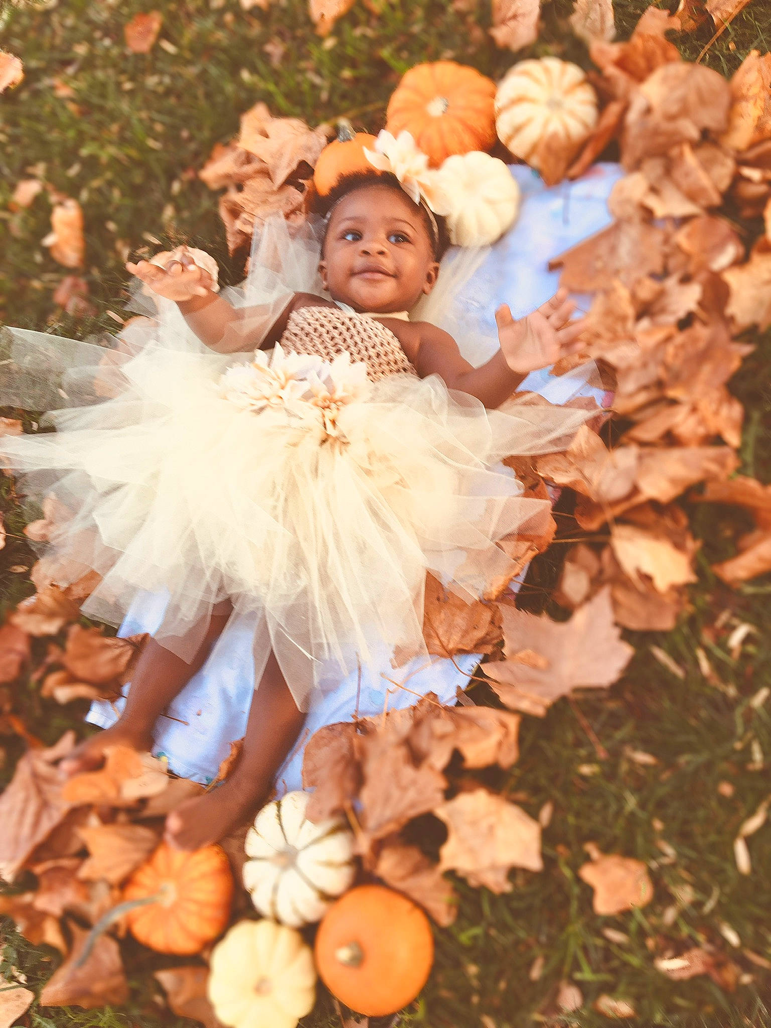 Melody is registered to the contest to win money with this photo: autumn, child, family, fun, happy, leaf, peach, people_in_nature, person, photograph, photography, smile, toddler