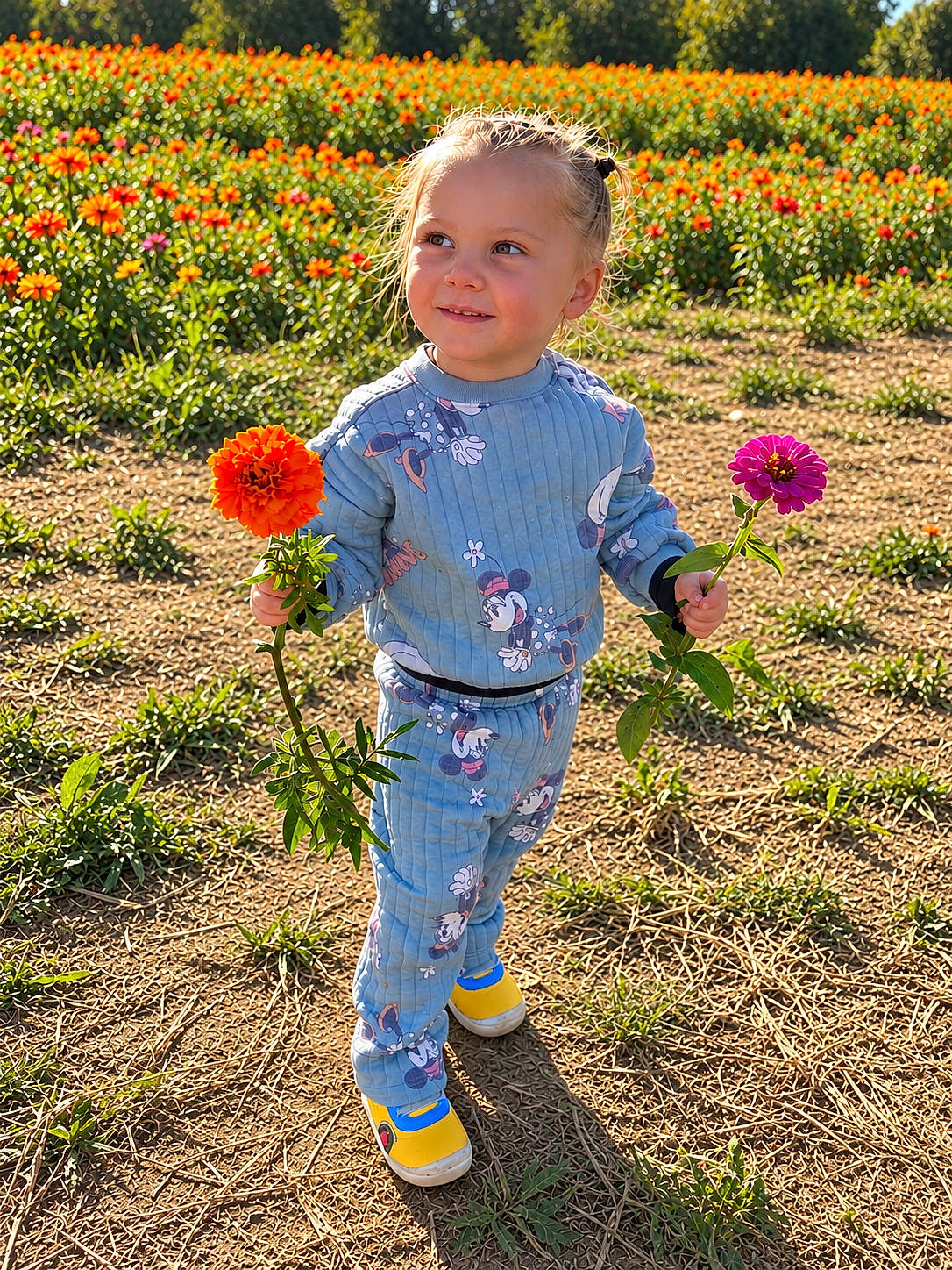 blonde_hair, blue_clothing, cartoon_clothing, child, colorful, flower_field, flowers, garden, marigolds, nature, outdoor, photography, plants, portrait, smiling, standing, sunlight, toddler, yellow_shoes, zinnia
